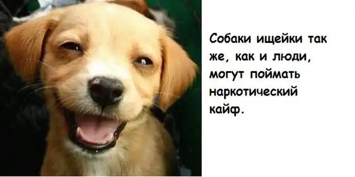 Советы для мужчин и факты обо всем на свете. Часть 2