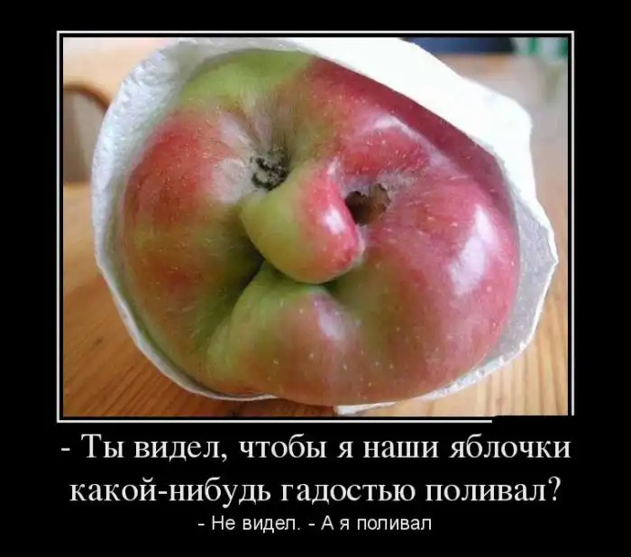 Картинки в черной рамке