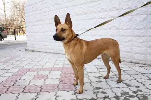 Ищем надежные руки