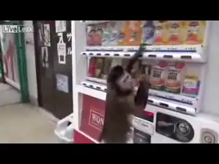 Умная мартышка