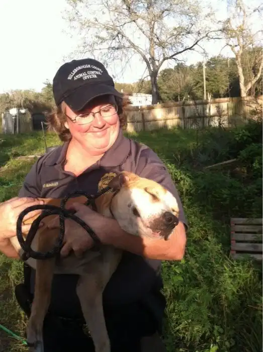 Собаки-улыбаки