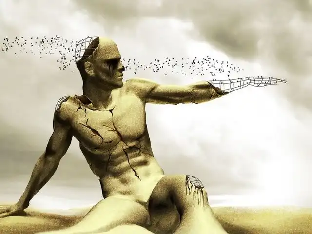 Познавательные факты о человеческом теле