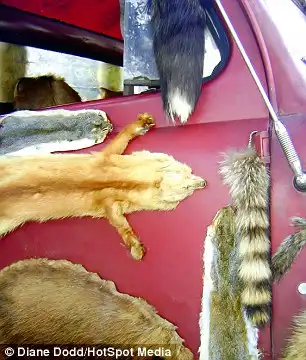 Самый страшный автомобиль в мире