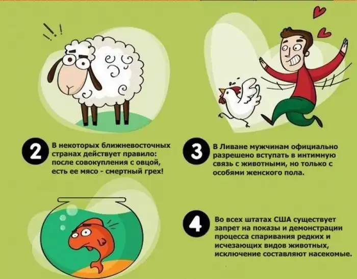 20 странных законов о сексе
