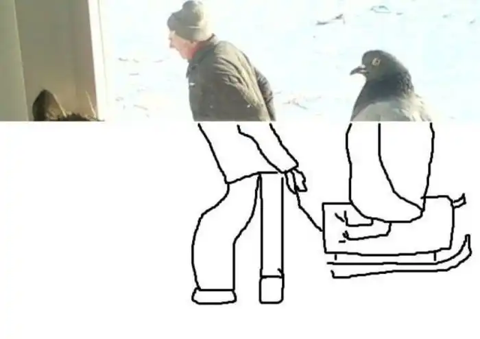 А что вы видите на этом фото?