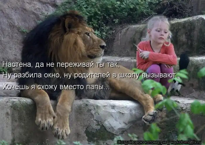 Лучшие котоматрицы недели