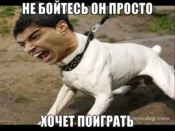 Футбольные мемы (04.06.13)