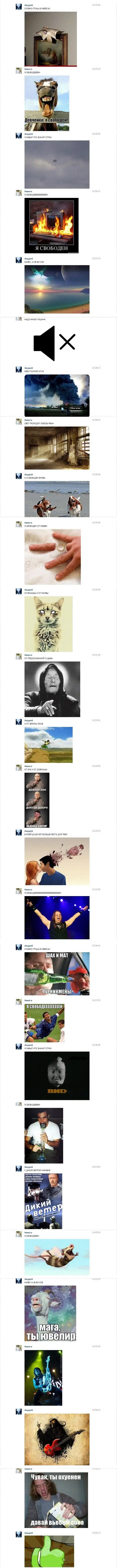 Когда нечем заняться в социальной сети