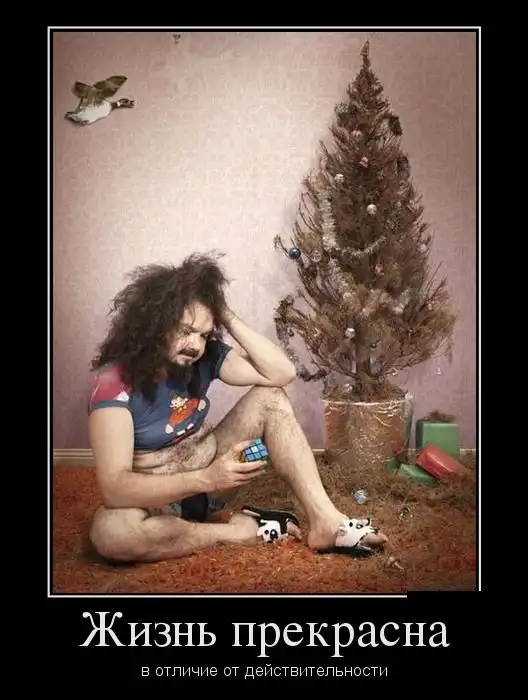 Картинки в черной рамке