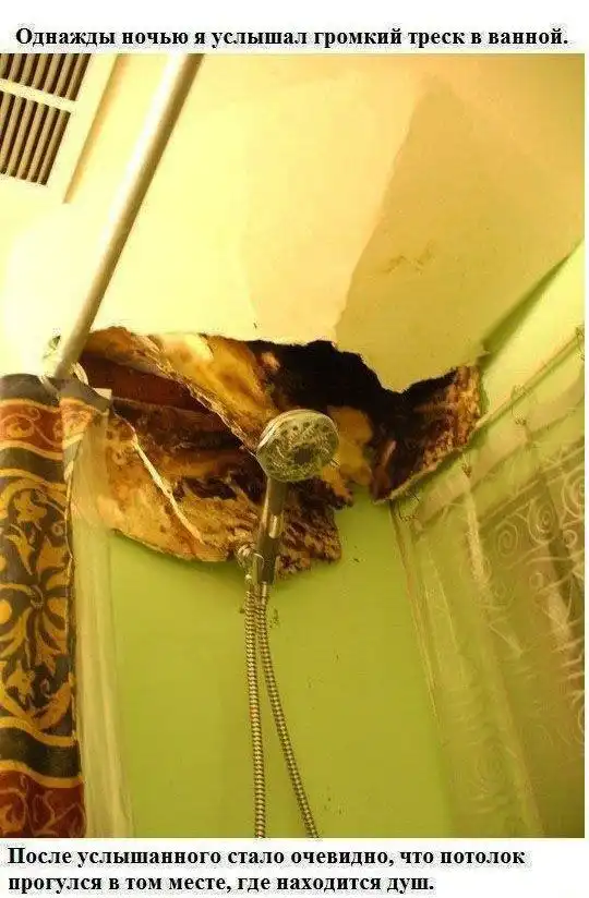 Неожиданные гости в ванной