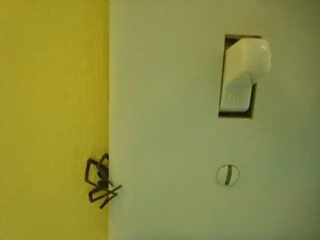 Пугающие и неприятные моменты