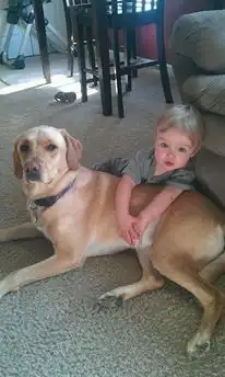 Настоящая дружба