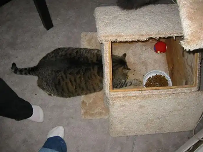 Ты делаешь все неправильно