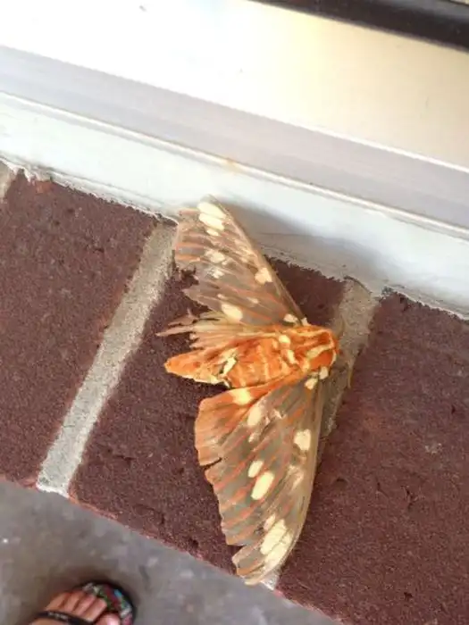 Необъяснимые снимки