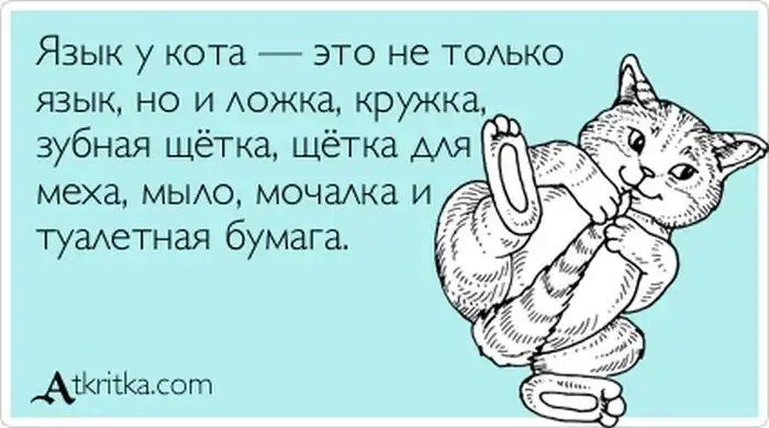 Прикольные "аткрытки". Часть 61