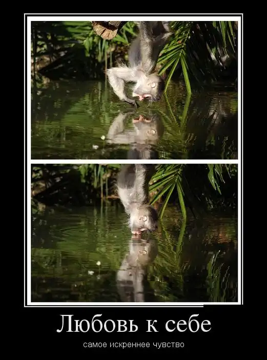 Картинки в черной рамке