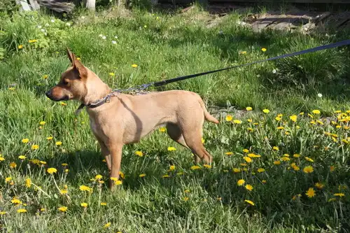 в самые лучшие ручки