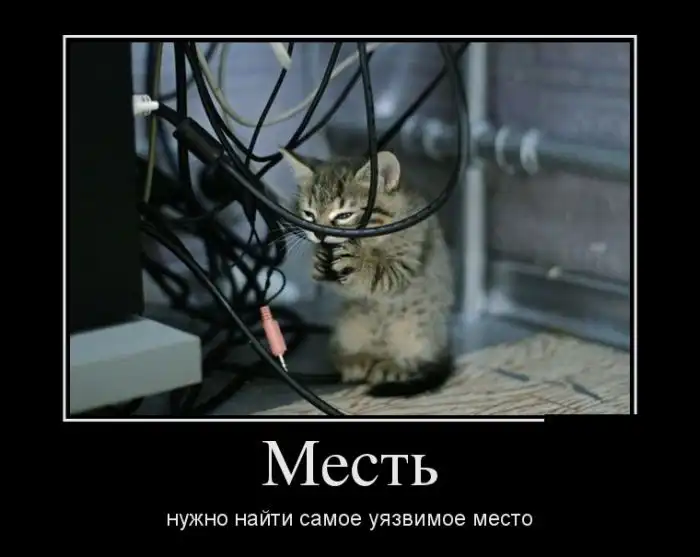 Картинки в черной рамке