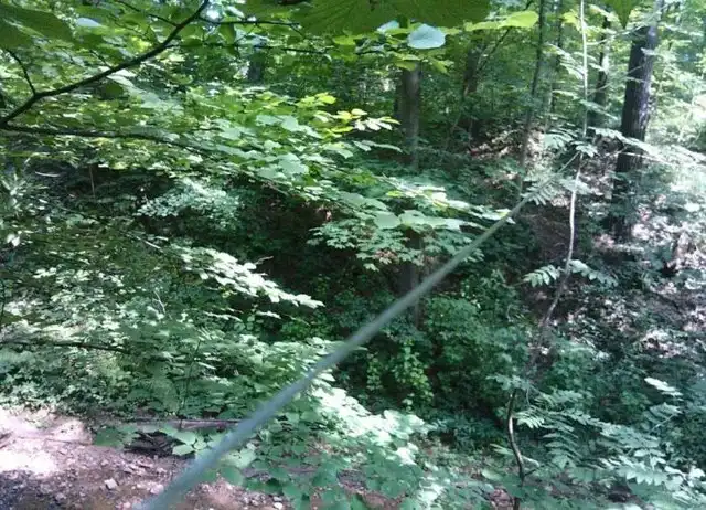 "Ловушка" для велосипедистов в лесу