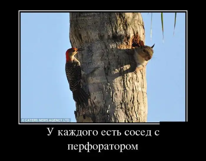 Картинки в черной рамке