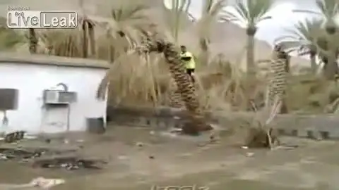 Ломаем дерево