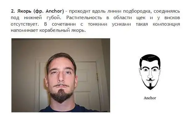 Детальный обзор популярных типов бороды, усов и бакенбард