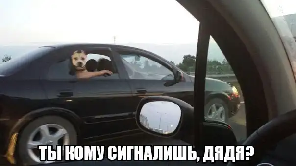 Трешовые картики абавсём:D (31.07.13)