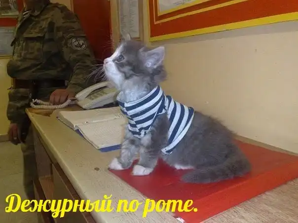 Разнообразная подборка =) Хорошего времени суток!