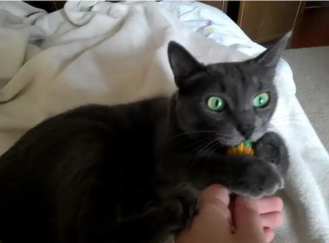 Лучший способ открывать фантики конфет ;)