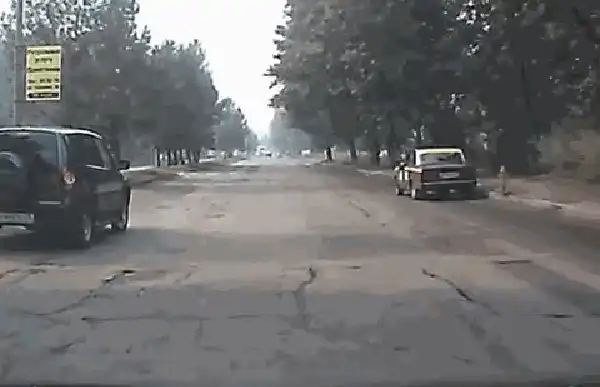 в Омске лысого гоняли