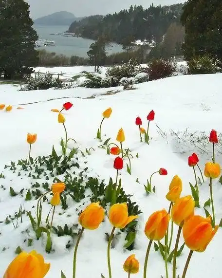 Соляночка =З