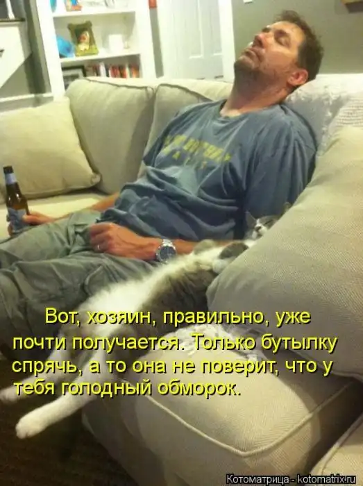 Лучшие котоматрицы недели