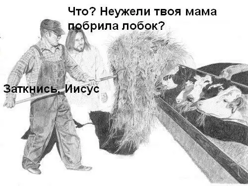 Иисус, отвали! Ты за**ал!