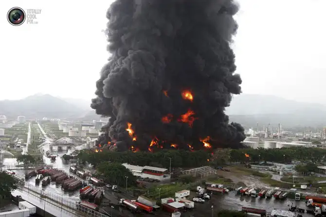 Неделя в фотографиях