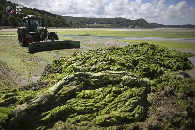 Неделя в фотографиях