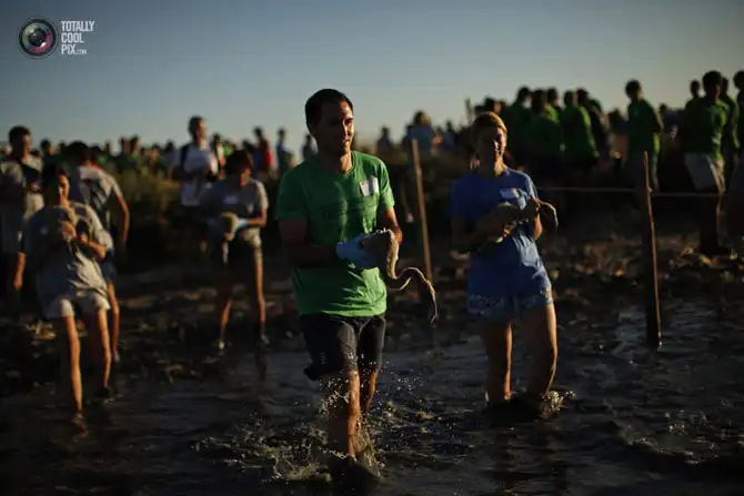 Неделя в фотографиях