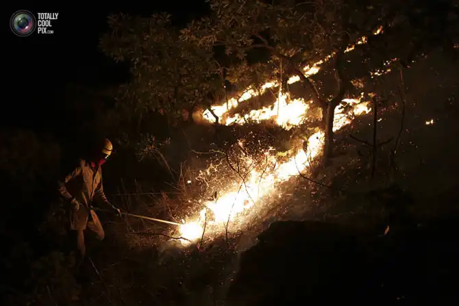 Неделя в фотографиях