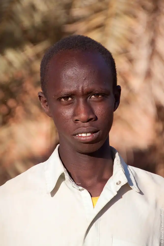 Оазисы в бесконечном море песков Африки