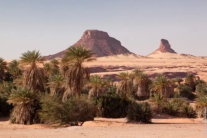 Оазисы в бесконечном море песков Африки