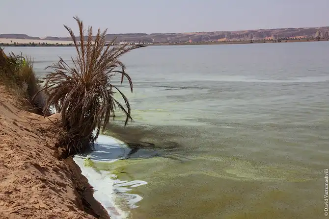 Оазисы в бесконечном море песков Африки
