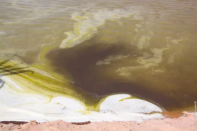 Оазисы в бесконечном море песков Африки