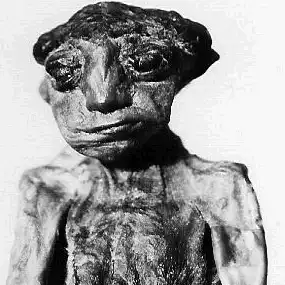 7 самых загадочных трупов за последние сто лет