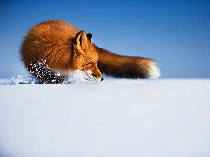 Лучшие фотографии августа 2013 года от National Geographic