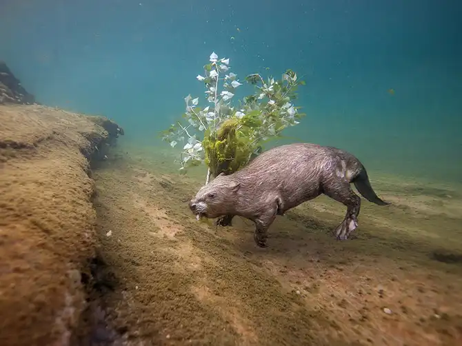 Лучшие фотографии августа 2013 года от National Geographic