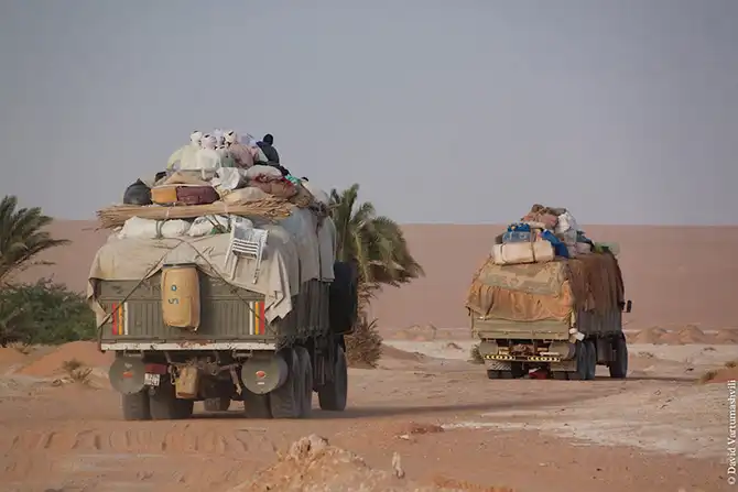 Долгая дорога домой