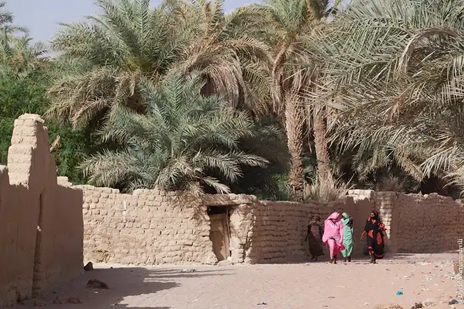 Долгая дорога домой