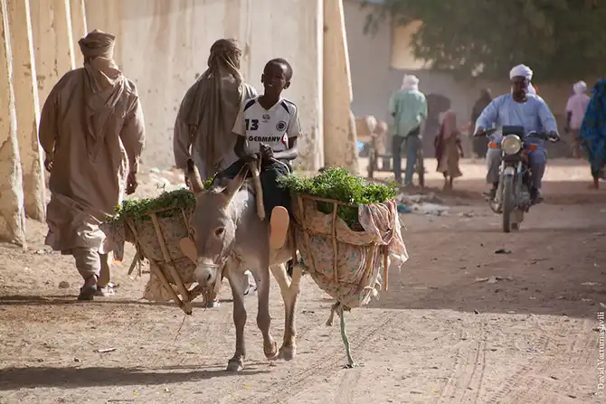 Долгая дорога домой