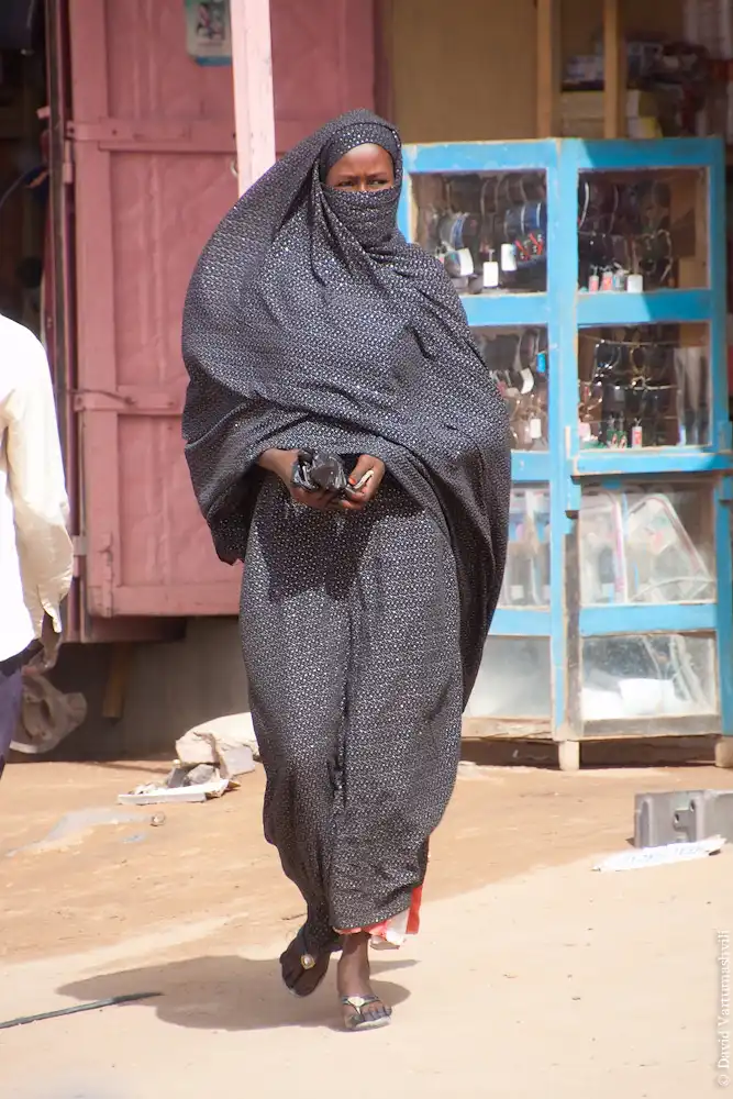 Долгая дорога домой