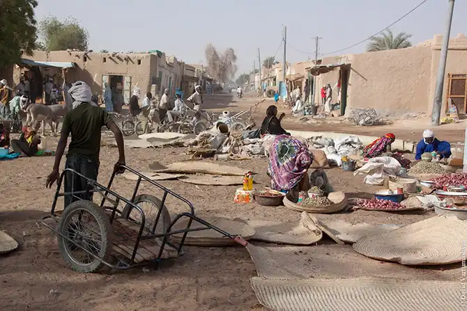 Долгая дорога домой