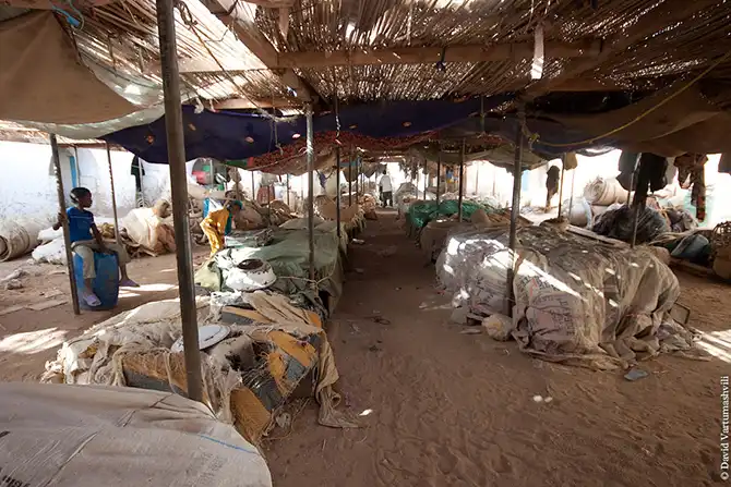 Долгая дорога домой